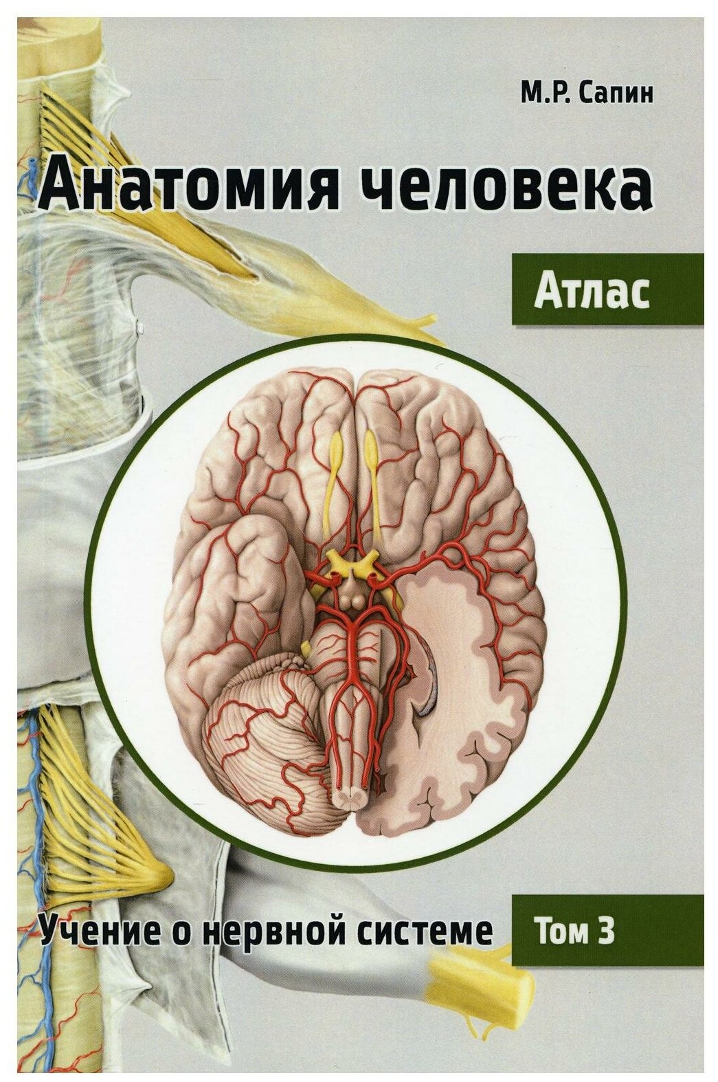 Анатомия человека. Атлас. Учебное пособие. В 3-х томах. Том 3. Учение о нервной системе - фото №1