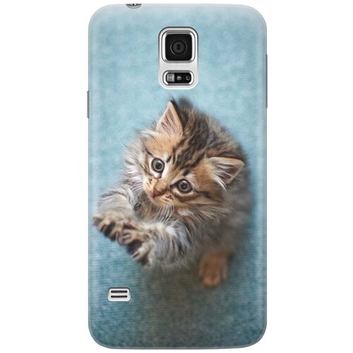 RE: PA Накладка Transparent для Samsung Galaxy S5 с принтом Котёнок на голубом re pa накладка transparent для samsung galaxy a60 m40 с принтом котёнок на голубом