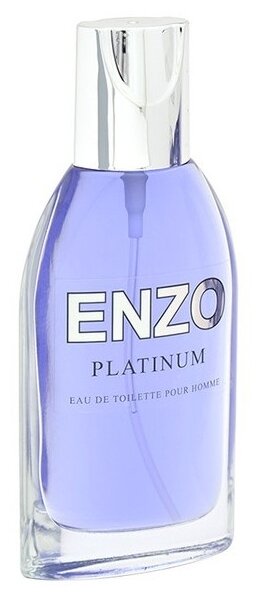 Dannie Dio туалетная вода ENZO Platinum, 95 мл