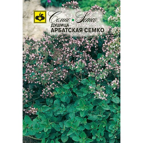 Семена Душица Арбатская 0.05 грамма семян Семко