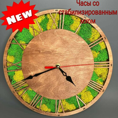 Декор для интерьера/A-lux/Часы со стабилизированным мхом/Ручная работа
