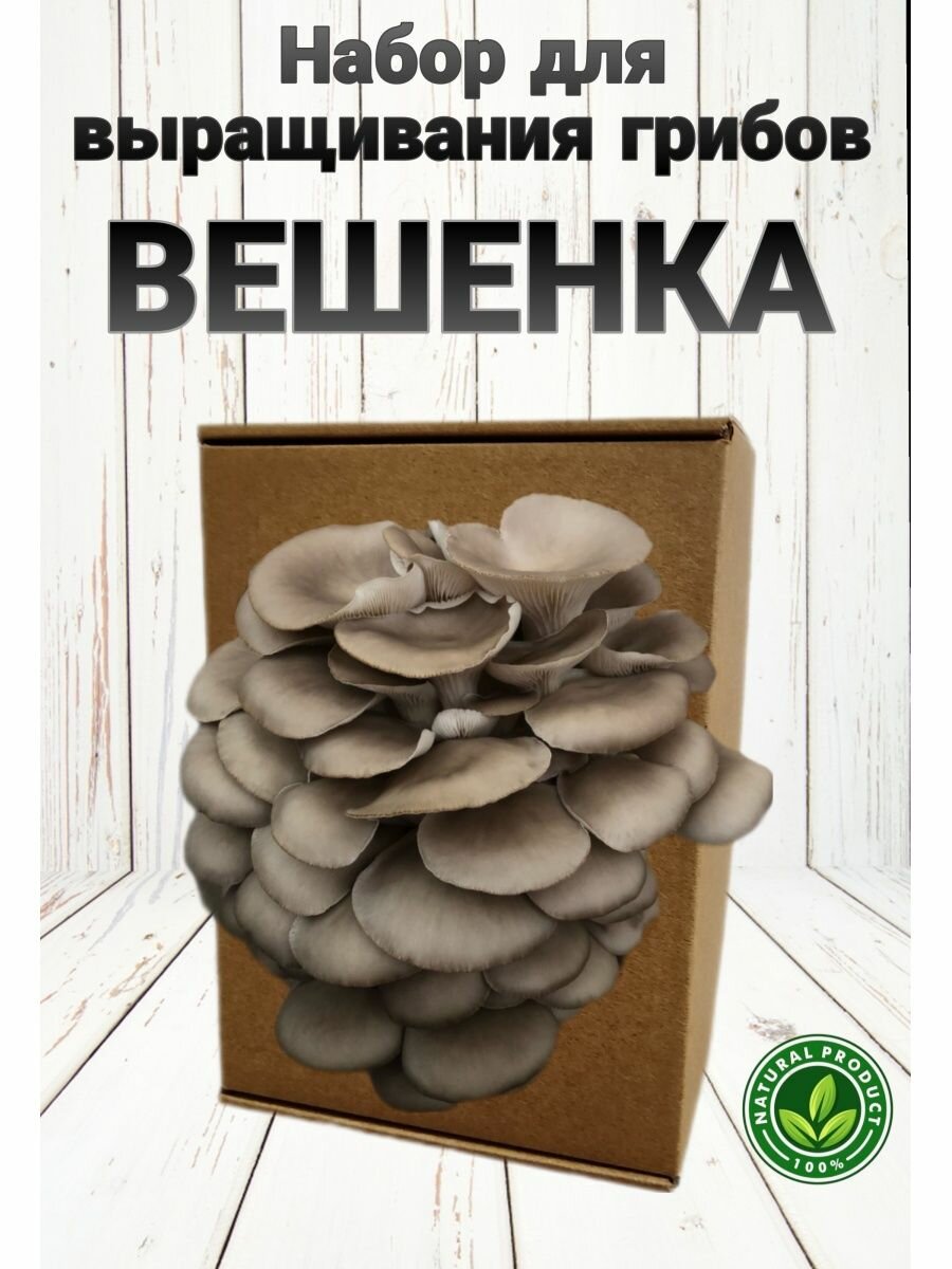 Домашняя грибница набор для выращивания грибов вешенка — купить в ...