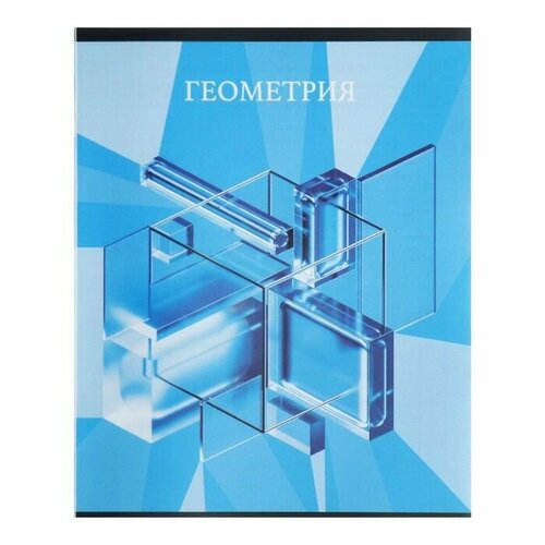 Тетрадь предметная Calligrata TOP Школьный стиль 48 листов в клетку Геометрия со справочным материалом пластиковая обложка блок офсет 461₽