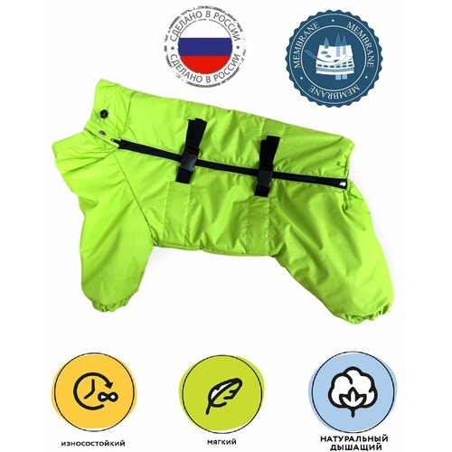 Зимний комбинезон из мембраной ткани для собак 