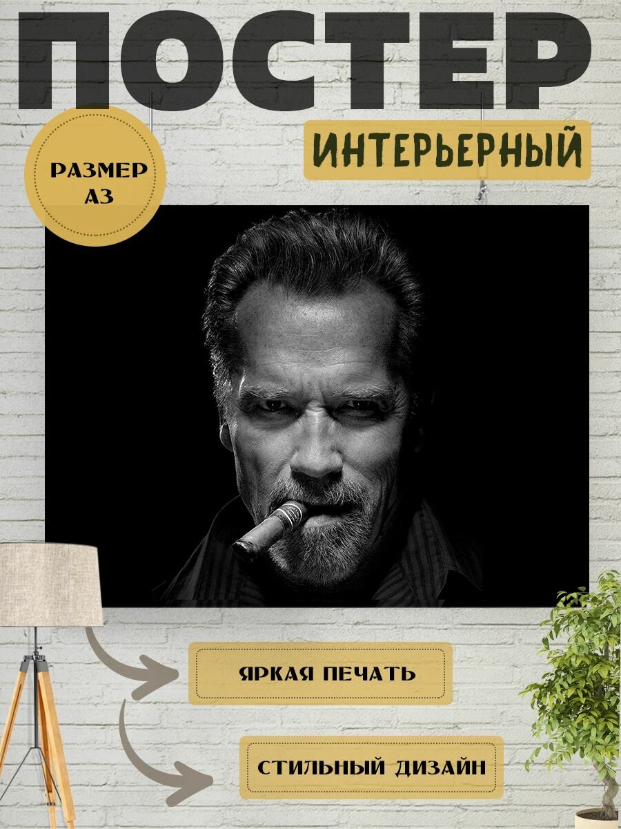 Постер интерьерный на стену Арни Шварценеггер. Arnold Alois Schwarzenegger