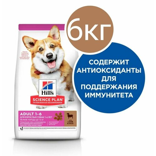 Сухой корм Hill's Science Plan Small&Mini для взрослых собак мелких пород для поддержания здоровья кожи и шерсти, с ягнёнком 6 кг