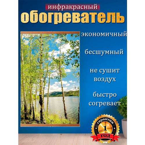 Обогреватель настенный картина пленочный Березы 1690₽