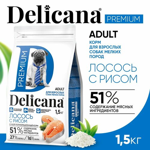 DELICANA Корм сухой для собак мелких пород Лосось с рисом 1,5 кг