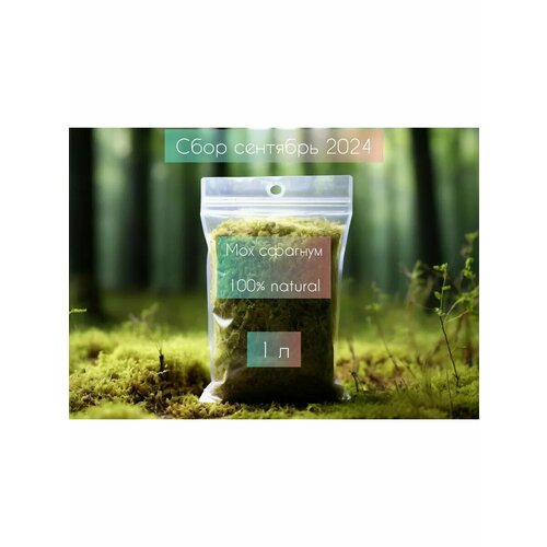 Мох сфагнум для улиток и орхидей 1 литр 450₽