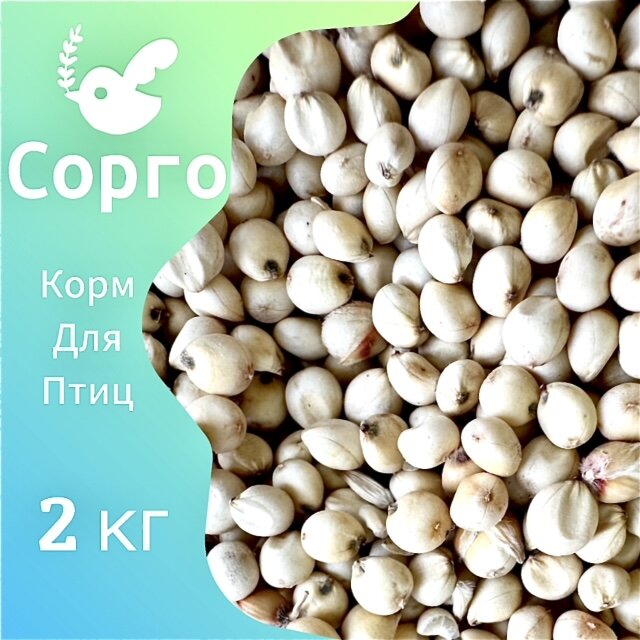 Корм для птиц 