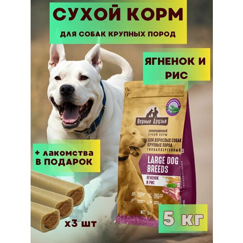 Корм для собак сухой Верные друзья, для собак крупных пород, полнорационный, гипоаллергенный "Ягненок и рис", 5 кг. Лакомство в подарок.