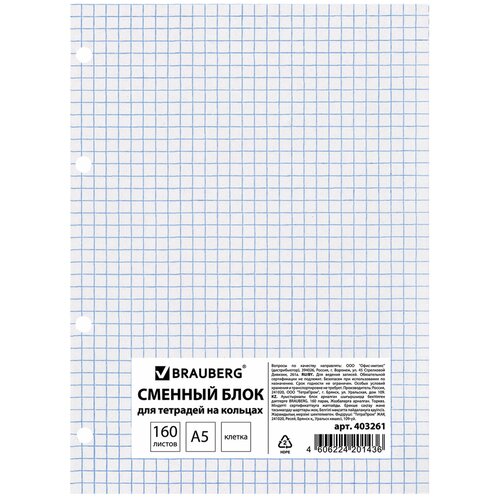 Сменный блок к тетради на кольцах, А5, 160 л, BRAUBERG ЭКО, Белый, 403261, (10 шт.) сменный блок для тетради на кольцах а5 160 л brauberg белый 403261 403261