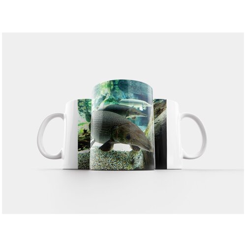 фото Кружка "аллигатор, гар, амазонка" 320 мл lotsprints