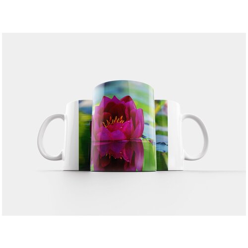 фото Кружка "водяная лилия, цветок, цвести" 320 мл lotsprints