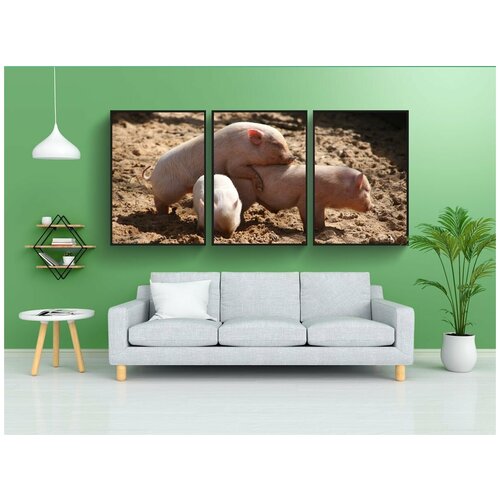 фото Набор модулных постеров для интерьера "дикая природа, домашнее животное, свинья" 60x90 см. в тубусе, без рамки lotsprints