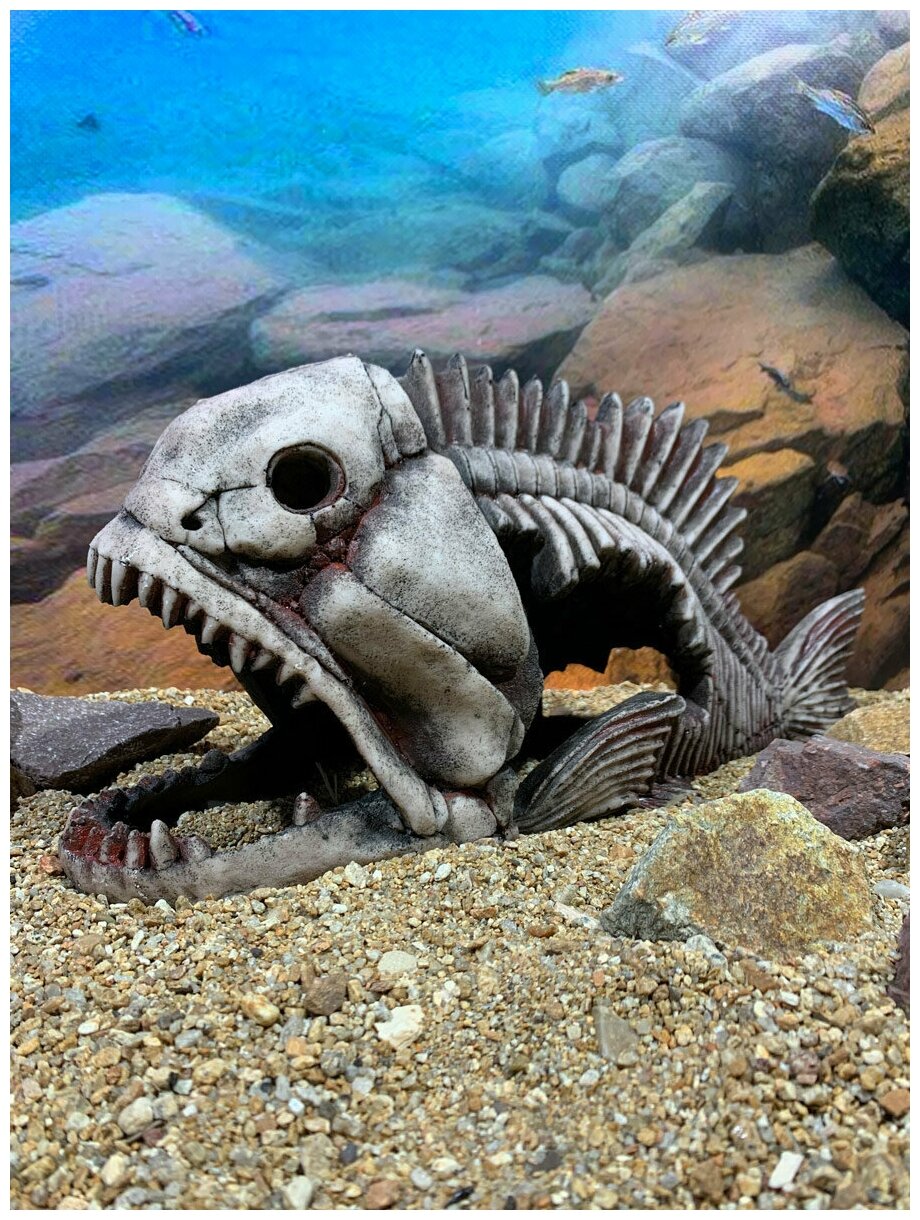 Грот DEKSI Скелет рыбы 904 (40*15*18см) - фотография № 2