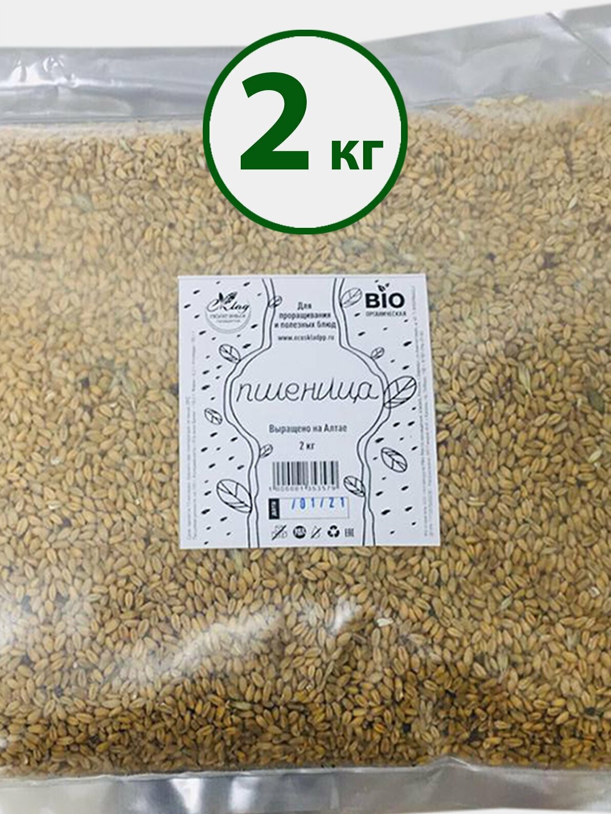 Пшеница Семена БИО для проращивания, 2 кг. - фотография № 5