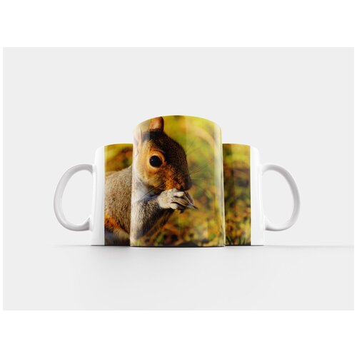 фото Кружка "животное, белка, млекопитающее" 320 мл lotsprints