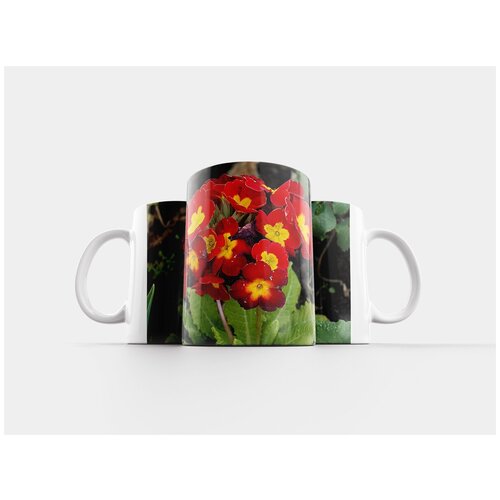 фото Кружка "цветы, первоцветы, весна" 320 мл lotsprints