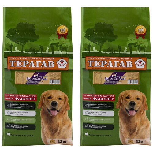 Терагав BIG PROFESSIONAL для взрослых собак крупных пород (13 + 13 кг)