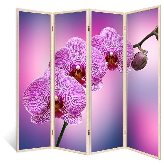 Ширма перегородка Трио орхидей 4 створки кремовый дуб 176х185 см