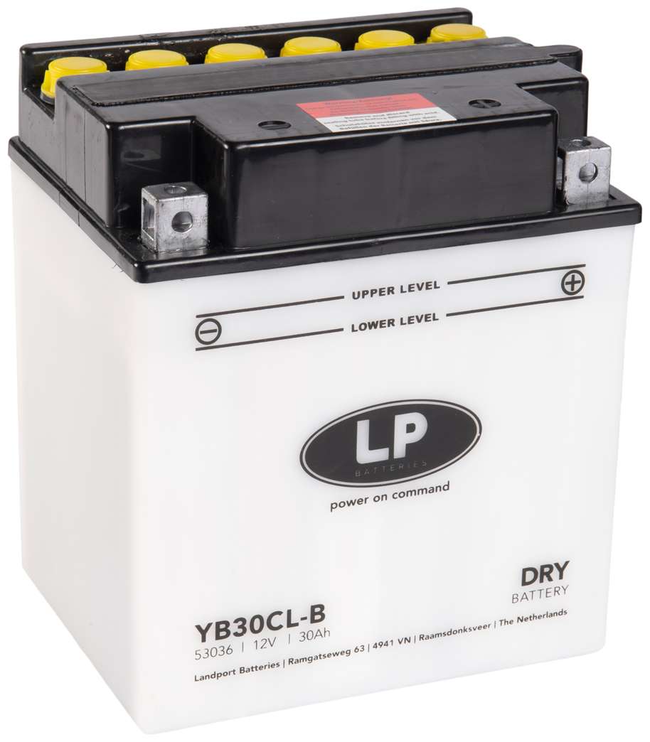 Аккумулятор Landport YB30CL-B, 12V, DRY