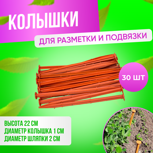 Колышек для подвязки растений и разметки территории ГеоПластБорд, 22см комплект 30 шт, оранжевый