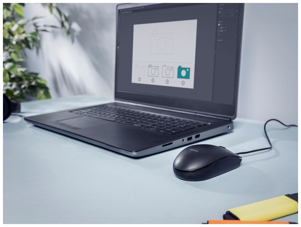 Мышь Trust Basi черная