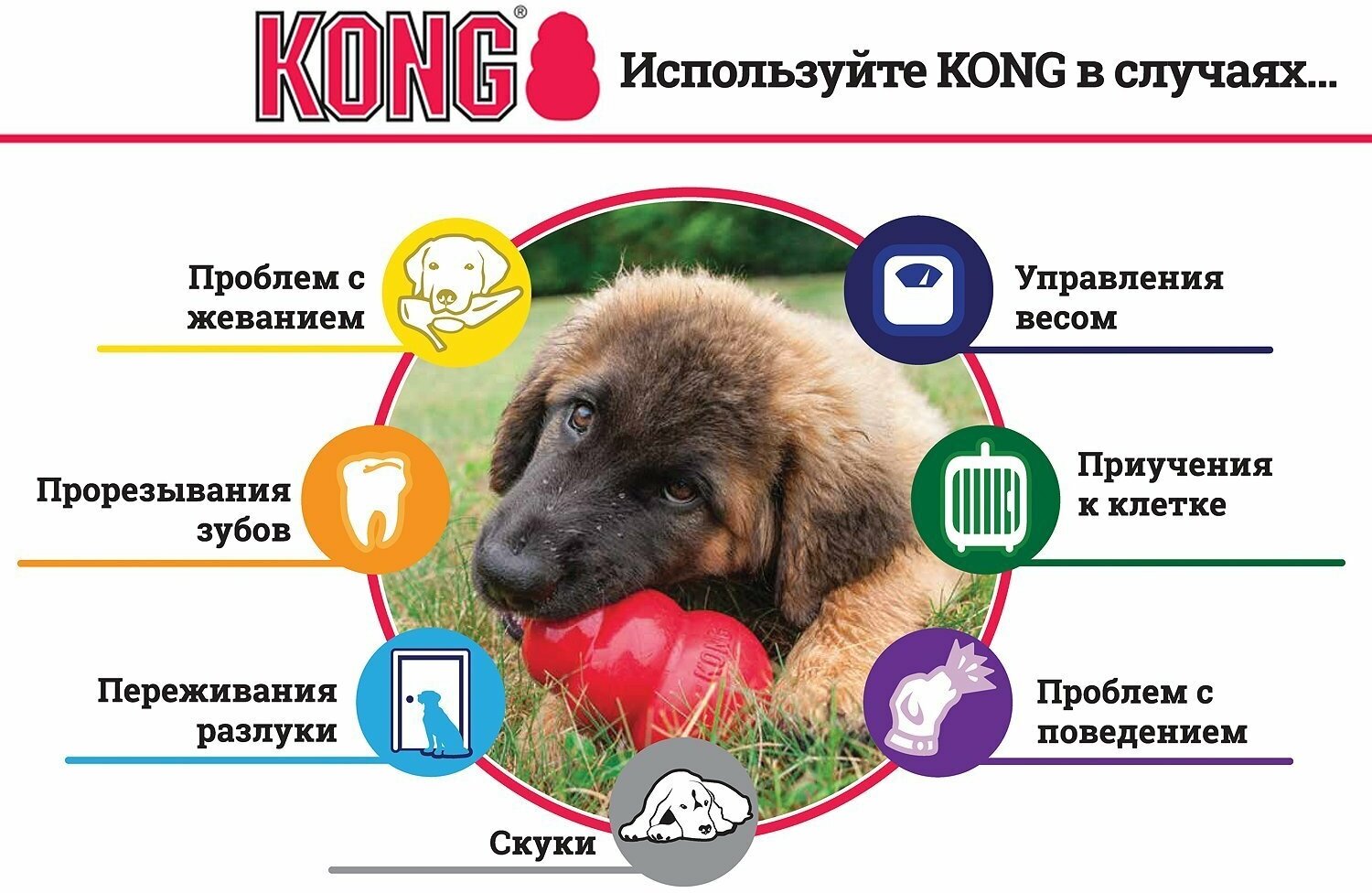 Игрушка для собак KONG XL очень большая, 13х8 см - фото №18