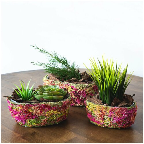 Кашпо Lemar сухоцвет, набор 3шт 11 см х 18 см х 27 см