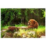 Вышивка Леопард 19x31 см. - изображение