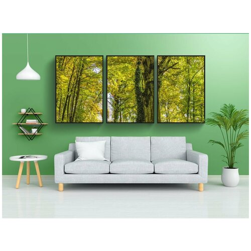 фото Набор модулных постеров для интерьера "дерево, лес, дорожка" 60x90 см. в тубусе, без рамки lotsprints