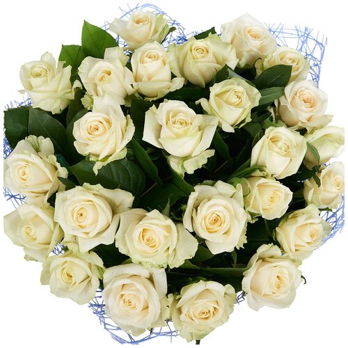 Розы Премиум 25 шт белые 50 см арт.11053 - Просто роза ру