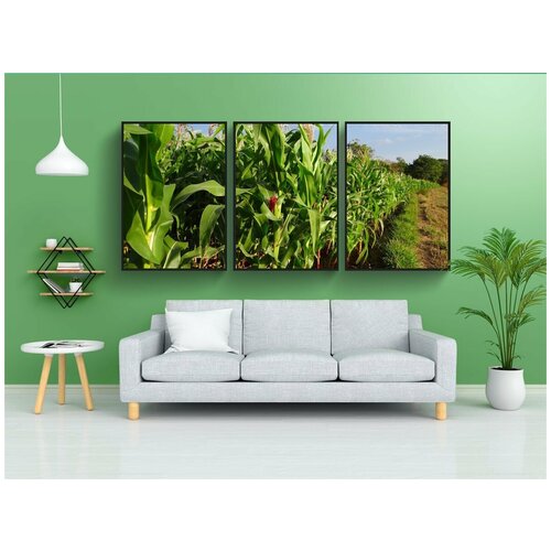 фото Набор модулных постеров для интерьера "кукуруза, обрезать, соцветие" 60x90 см. в тубусе, без рамки lotsprints