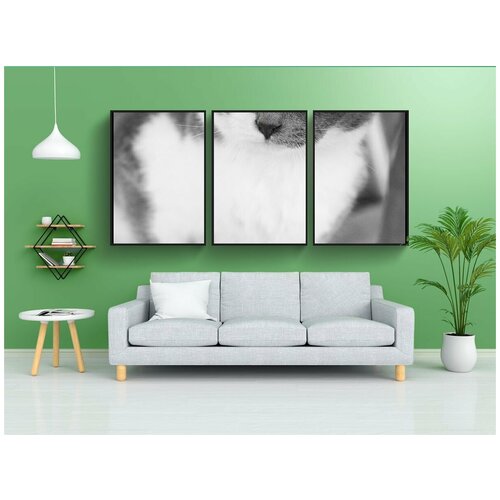 фото Набор модулных постеров для интерьера "кошка, домашний питомец, животное" 60x90 см. в тубусе, без рамки lotsprints