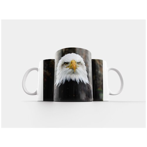 фото Кружка "орел, птица, символ" 320 мл lotsprints