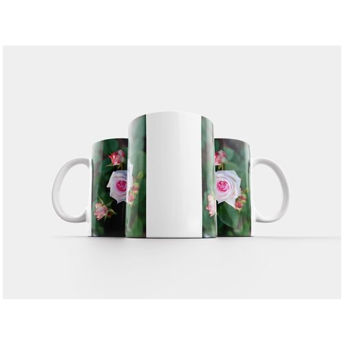 фото Кружка "городской парк, роуз, парк" 320 мл lotsprints