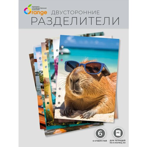 Разделители для тетради на 6 кольцах А5 Капибара 390₽