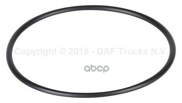 Уплотнительное кольцо DAF арт. 2022929