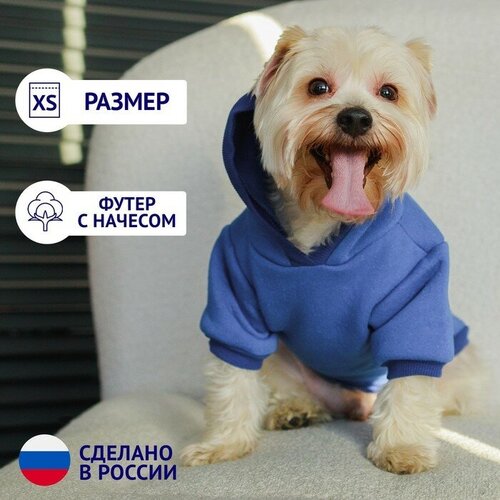 Пушистое счастье Толстовка однотонная для собак (футер с начесом), размер XS (ДС 20, ОШ 30-33, ОГ 38-42), синяя