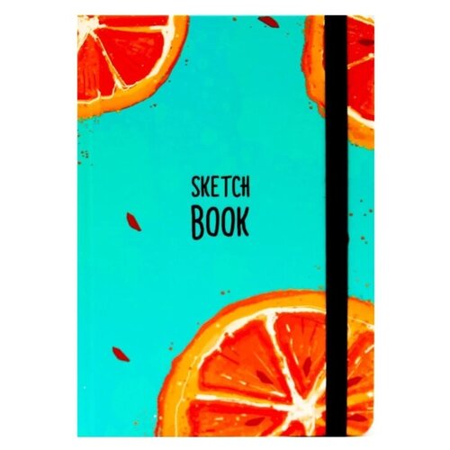 Скетчбук Проф-Пресс 21 х 14.8 см 100 г/м², 80 л. 1 A5 21 см 14.8 см 100 г/м² книга 978 5 353 05764 2 насекомые детская энциклопедия