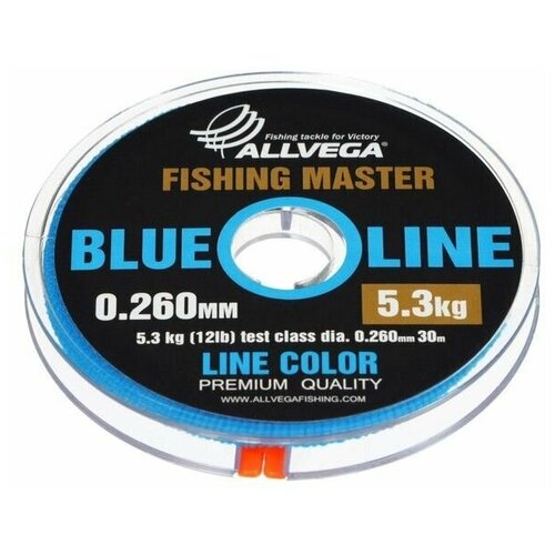 леска монофильная allvega fishing master 30м 0 405мм 12 5кг голубая 9335950 Леска монофильная ALLVEGA Fishing Master 30м 0,260мм (5,3кг) голубая