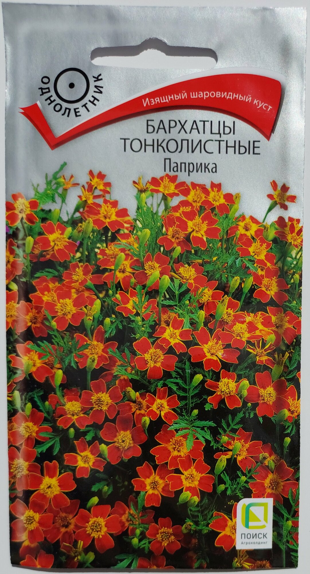 Семена Бархатцы тонк. Паприка 01г Одн 25см (Поиск)