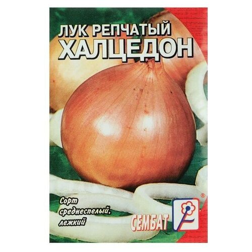 Семена Лук репчатый Халцедон, 0,5 г семена лук репчатый халцедон 0 5 г 5 упак