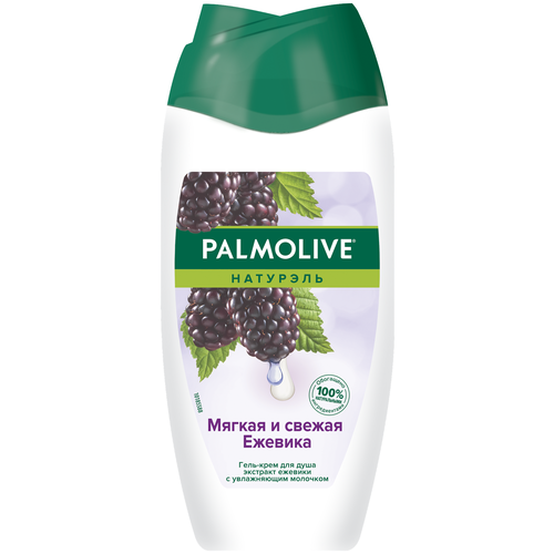 PALMOLIVE Натурэль Мягкая и Свежая Ежевика гель-крем для душа, 250 мл