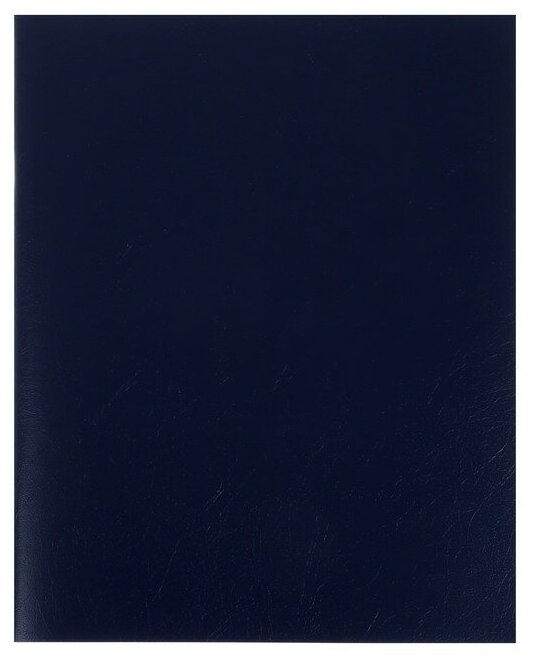 Тетрадь общая "Бумвинил. Синий" (96 листов, А5, линия) (96Т5бвВ2) Хатбер - фото №3