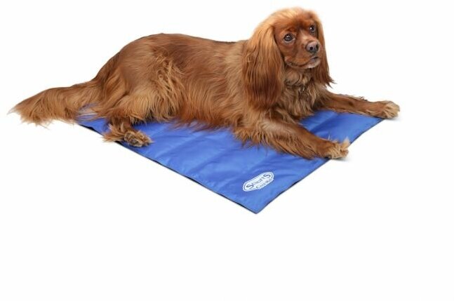 Охлаждающий коврик для собак SCRUFFS "Cool Mat ", голубой, 77*62см (Великобритания) - фотография № 7