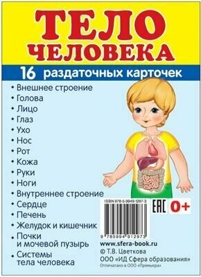 _СфераКартинок_РаздатКарт Тело человека [16 раздат. карточек с текстом 6х9см]