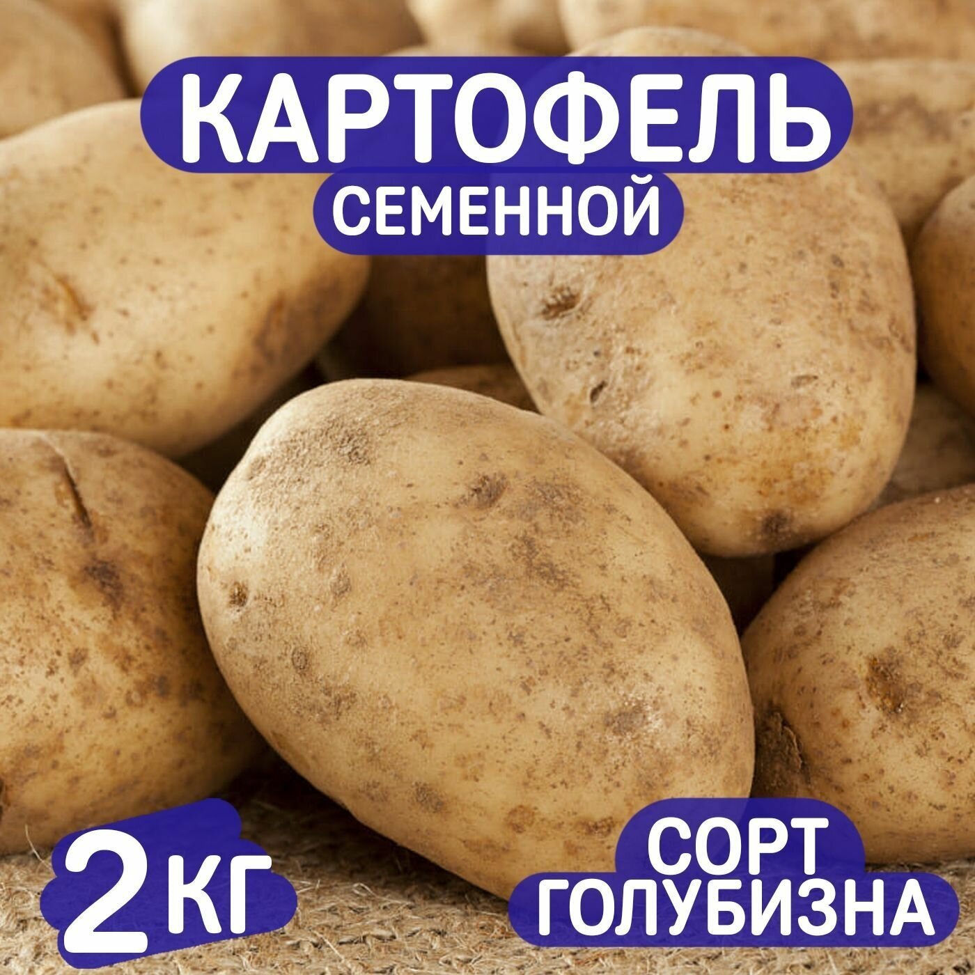 Картофель семенной, сорт Голубизна СЭлита, 2 кг - фотография № 1