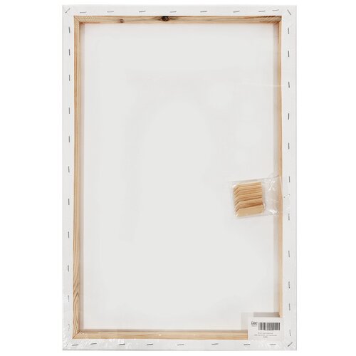 Холст Две картинки на подрамнике 40X60